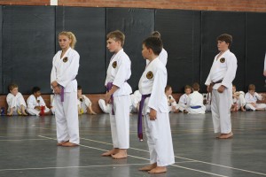 IMG 7287