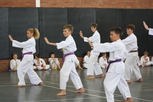 IMG 7289