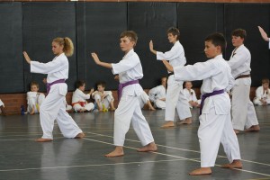 IMG 7290