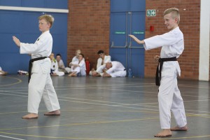 IMG 7291