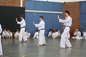 IMG 7293