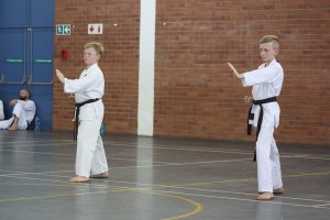 IMG 7294