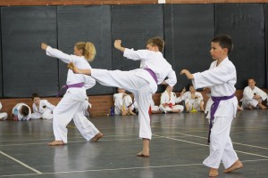 IMG 7295