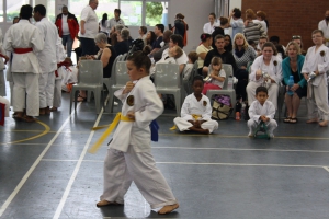 IMG 5994