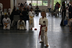 IMG 6000