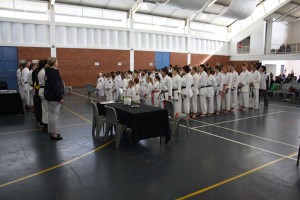 IMG 6956  