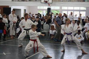 IMG 6959     