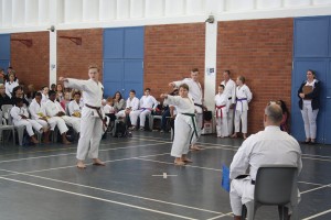 IMG 6963     