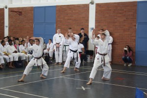 IMG 6964     
