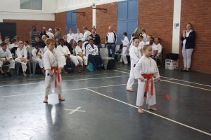 IMG 6973     