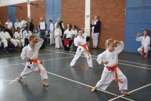 IMG 6974     