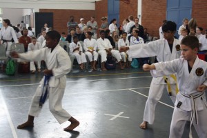 IMG 6976     