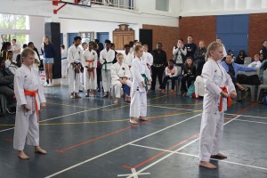 IMG 6978     