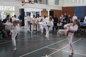 IMG 6979     