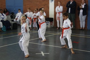 IMG 6980     