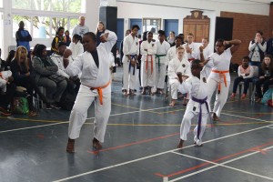 IMG 6982     