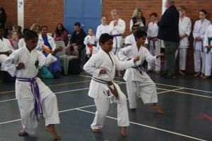 IMG 6992     