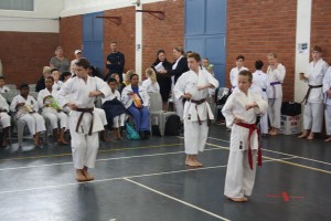 IMG 6993     