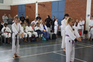 IMG 6994     