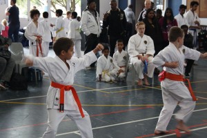 IMG 6995     