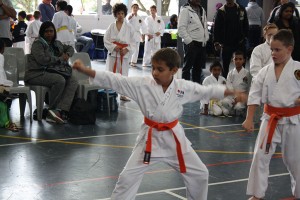 IMG 6996     