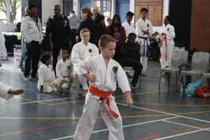 IMG 6997     