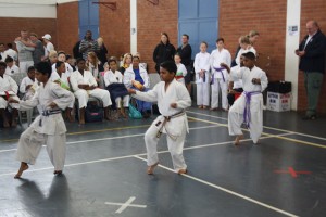 IMG 6998     