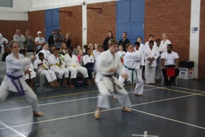 IMG 7001     