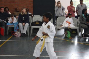IMG 7002     