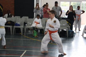 IMG 7003     
