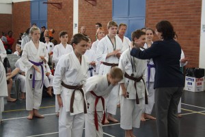 IMG 7010     