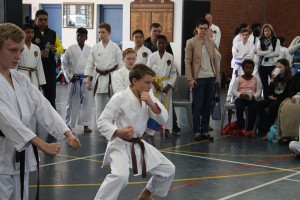 IMG 7017     