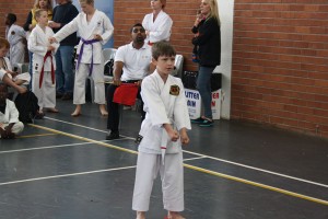 IMG 7019     