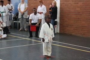 IMG 7023     