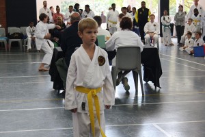 IMG 7026     