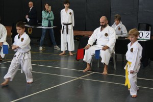 IMG 7027  