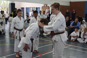IMG 7029     