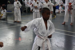 IMG 7033     