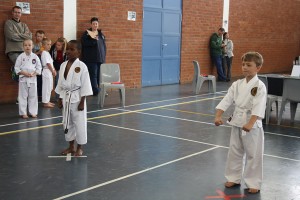 IMG 7034  