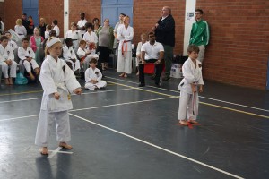 IMG 7035  