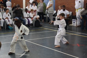 IMG 7037     
