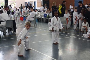 IMG 7039     