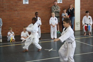 IMG 7041     