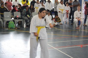 IMG 7054  