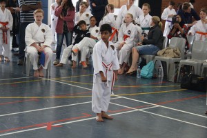 IMG 7055     