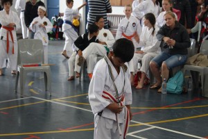 IMG 7056  