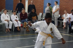 IMG 7061