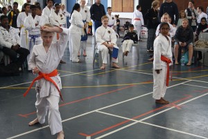 IMG 7062