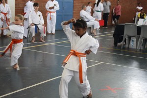 IMG 7068