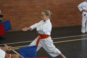 IMG 7069